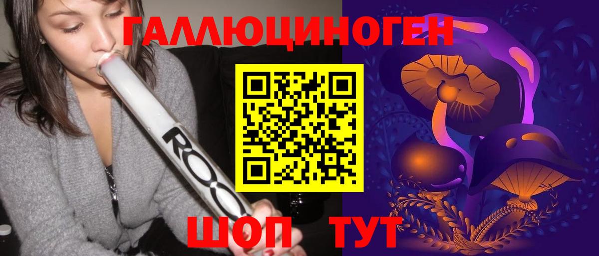 Тулун  Галлюциногенные грибы Psilocybine cubensis  Вход с VPN 